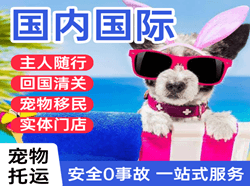 盐城航空物流国际宠物托运 【国